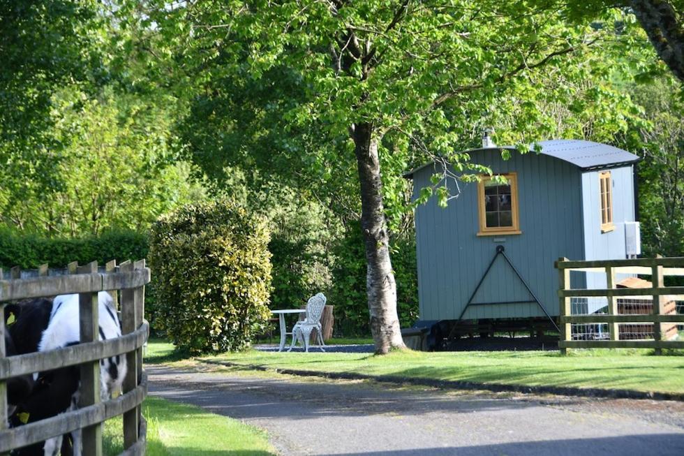 The Shepherds Hut Carmarthen Buitenkant foto